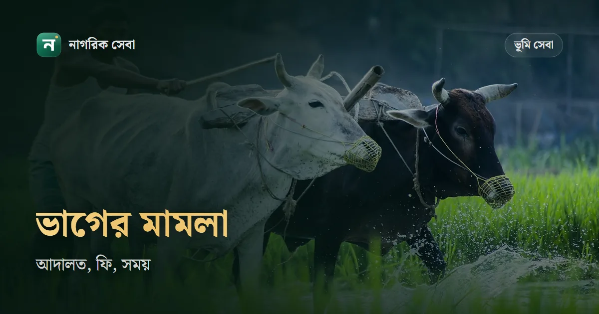 বাটোয়ারা মামলা করার নিয়ম: কোন আদালতে করবেন, কোর্ট ফি কীভাবে ঠিক হয়, আর কত দিন লাগতে পারে