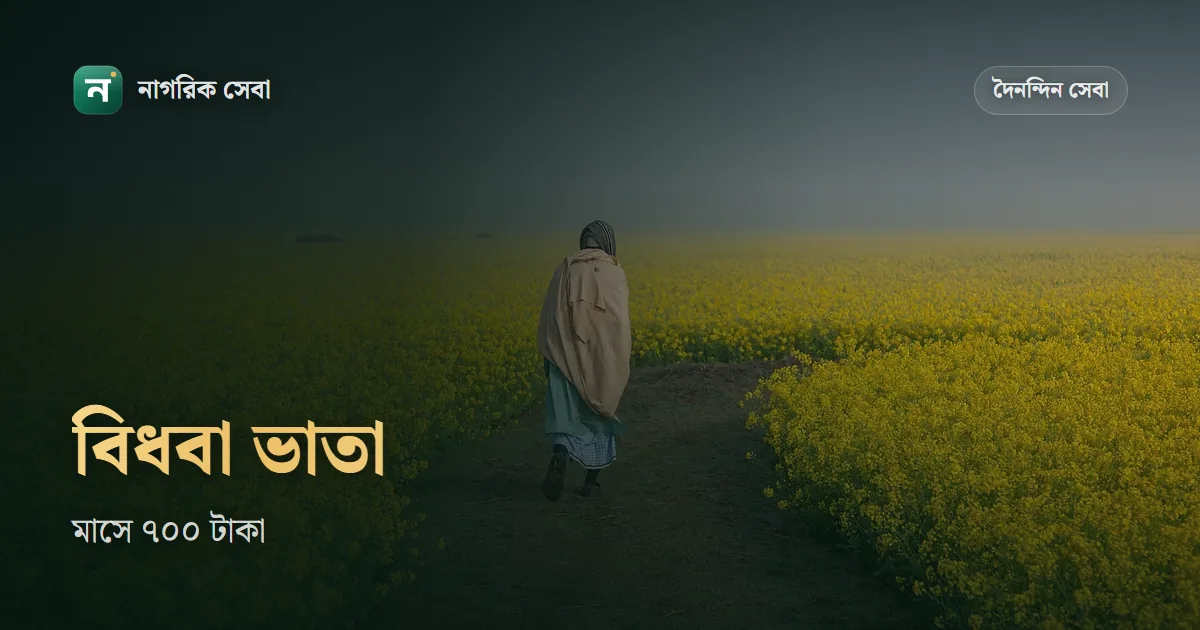 বিধবা ভাতা ২০২৬: মাসে কত টাকা, স্বামী নিগৃহীতা কারা, কারা পাবেন আর আবেদনের নিয়ম