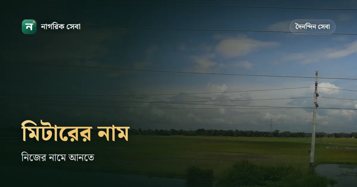 মিটারের নাম পরিবর্তন: ডেসকো, ডিপিডিসি আর পল্লী বিদ্যুতে কী কাগজ লাগে, কত দিন আর কত টাকা