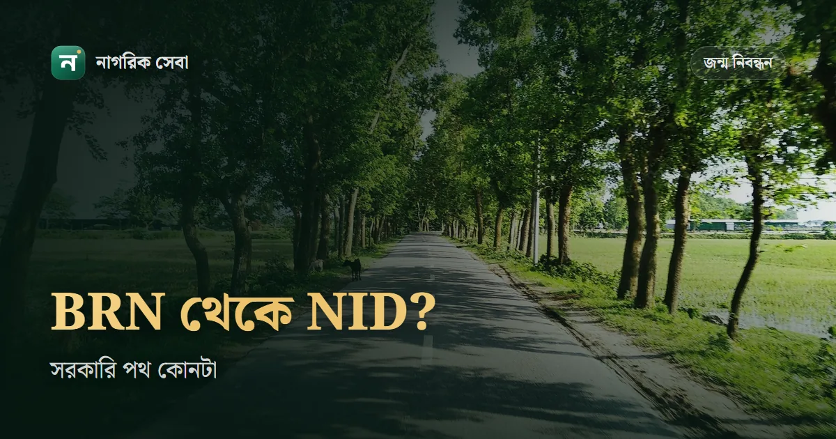 জন্ম নিবন্ধন দিয়ে এনআইডি কার্ড বের করা যায় কি: সরকারি পোর্টালে কোন নম্বর লাগে, না পেলে কী করবেন