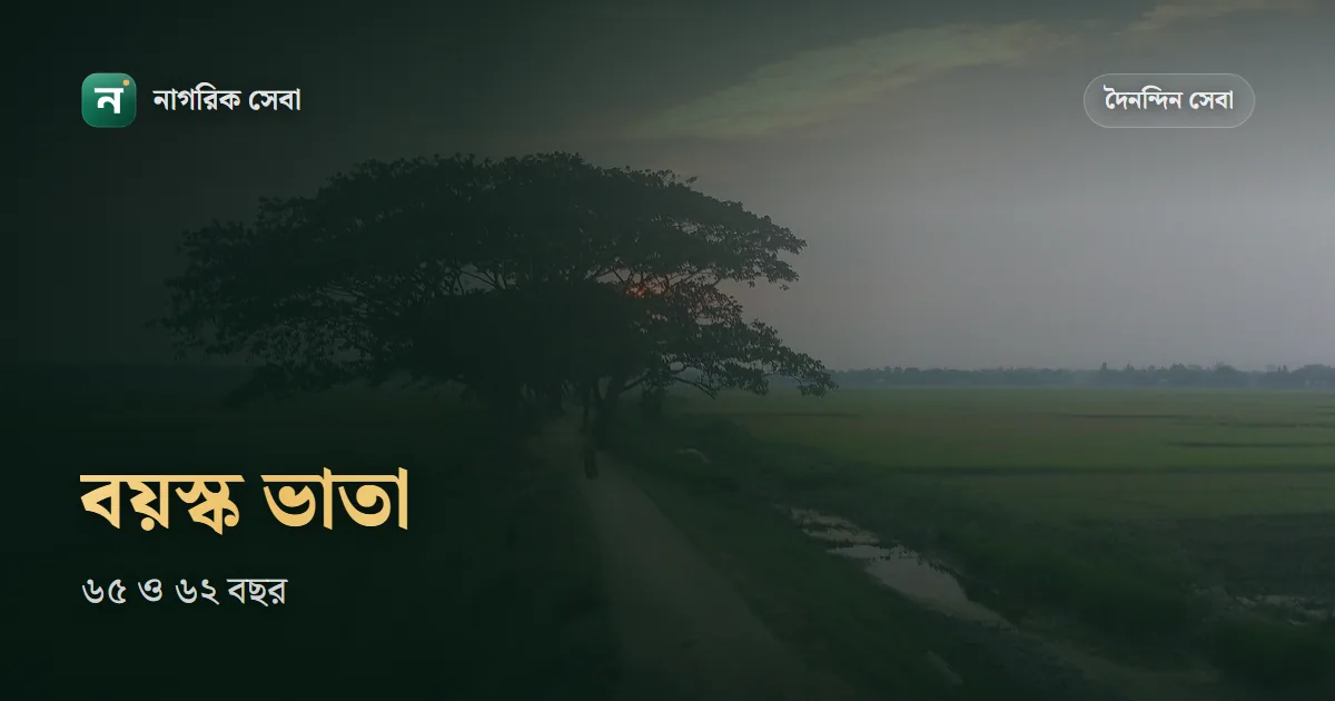 বয়স্ক ভাতার বয়স কত লাগে, ২০২৬-২৭ সালে মাসে কত টাকা আর আবেদন করবেন যেভাবে