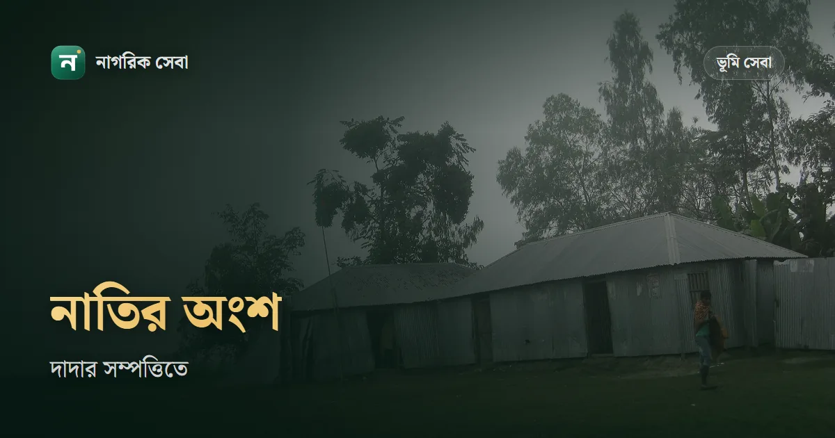 দাদার সম্পত্তি কি নাতি পাবে: বাবা আগে মারা গেলে এতিম নাতি-নাতনির অংশ, আইনের ৪ ধারা আর হিসাব