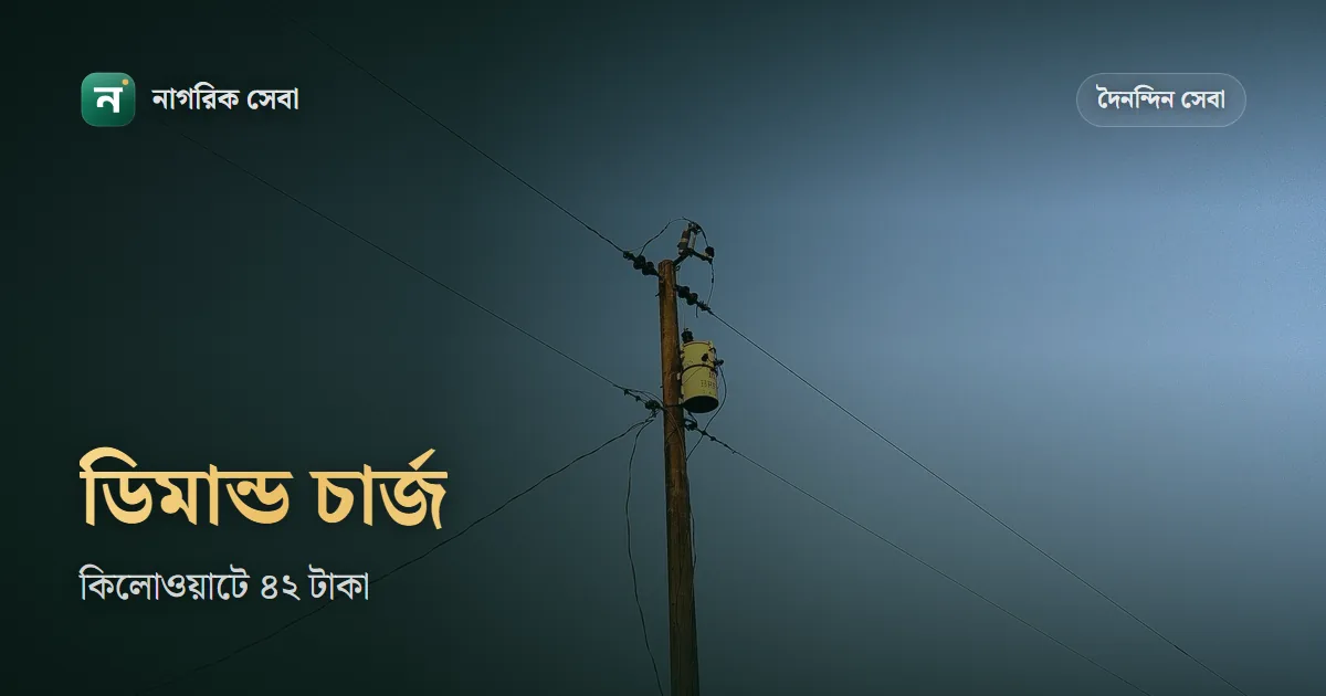 ডিমান্ড চার্জ কি, কিভাবে হিসাব হয়: বাসায় প্রতি কিলোওয়াটে মাসে ৪২ টাকা, আর কমানোর আসল উপায়