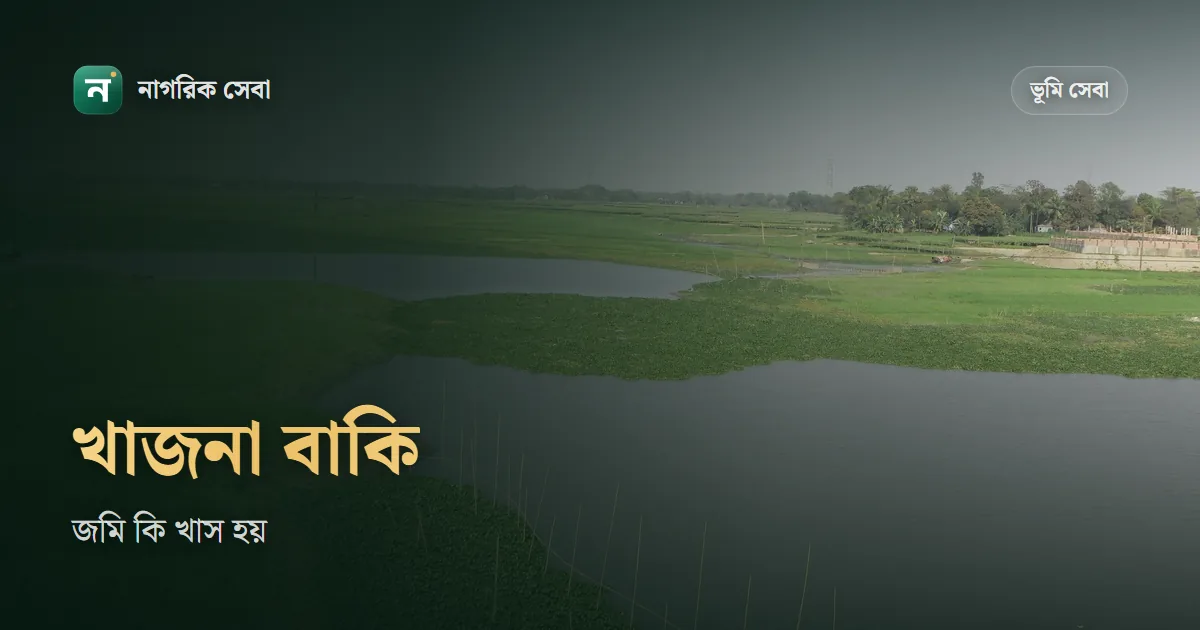কত বছর খাজনা না দিলে জমি খাস হয়: আইনে এমন মেয়াদ নেই, ৩ বছর পর যা হয় তা জেনে নিন