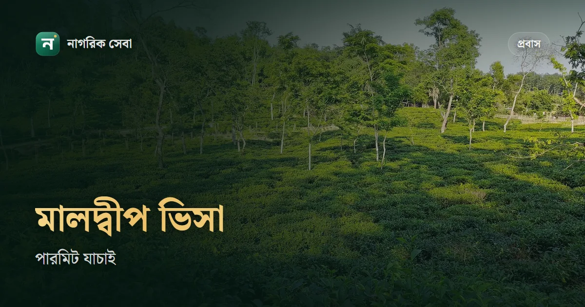 মালদ্বীপ ভিসা চেক: ওয়ার্ক পারমিট নম্বর আর পাসপোর্ট নম্বর দিয়ে সরকারি Xpat সাইটে যাচাই, ই-ভিসা আর আঙুলের ছাপ