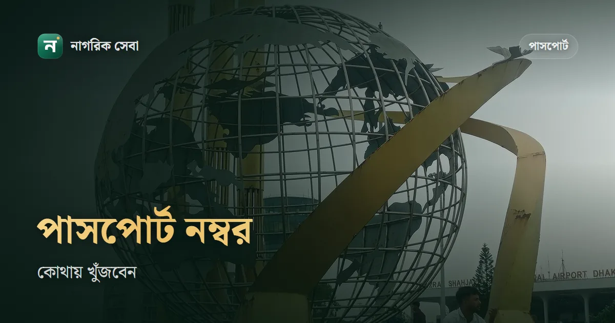পাসপোর্ট নাম্বার কোথায় থাকে, কিভাবে বের করব: হাতে পাসপোর্ট থাকলে, হারালে আর পুরোনো নম্বর মনে না থাকলে