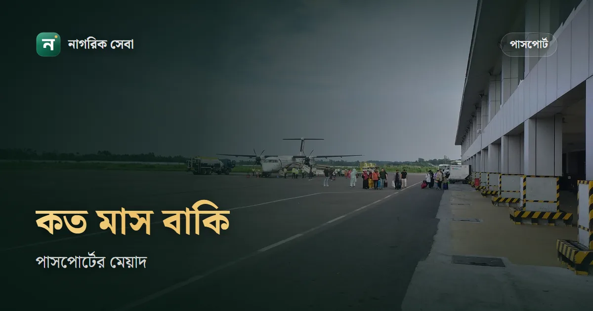 পাসপোর্টের মেয়াদ কতদিন থাকলে বিদেশ যাওয়া যায়: ৬ মাস, ৩ মাস নাকি পুরো সফর