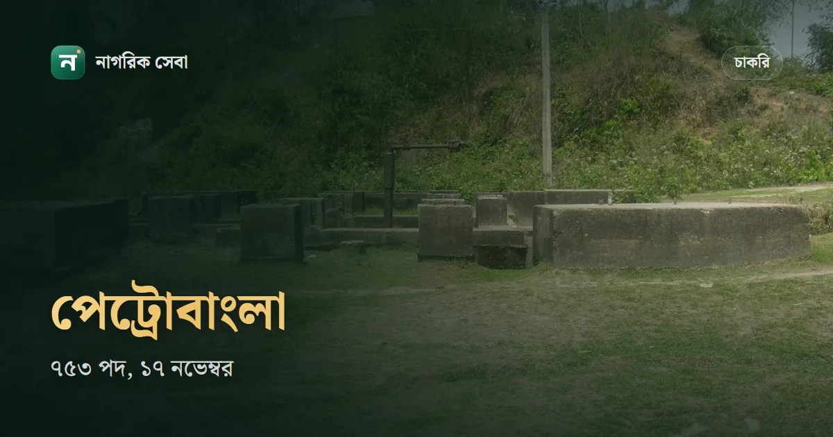 পেট্রোবাংলা নিয়োগ বিজ্ঞপ্তি ২০২৬: ৭৫৩ পদে আবেদন ১৭ নভেম্বর পর্যন্ত, কোন পদে কত জন আর আবেদনের ধাপ