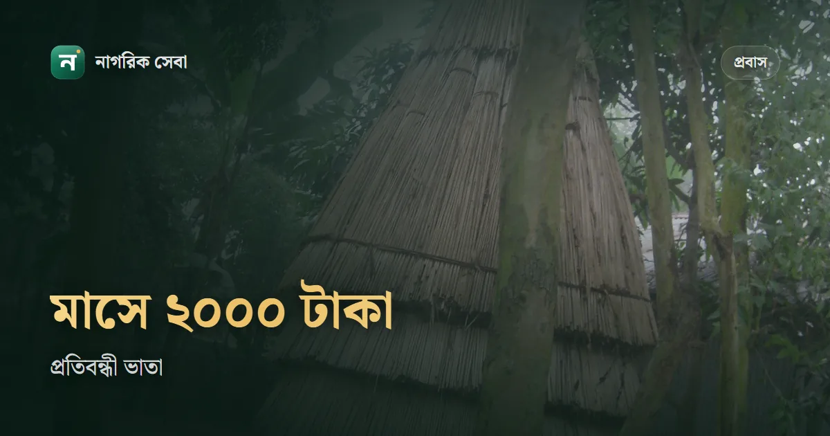 প্রবাসী কর্মীর প্রতিবন্ধী সন্তানের ভাতা: মাসে ২,০০০ টাকা, ৭ বছর, আবেদন কারা করতে পারবেন