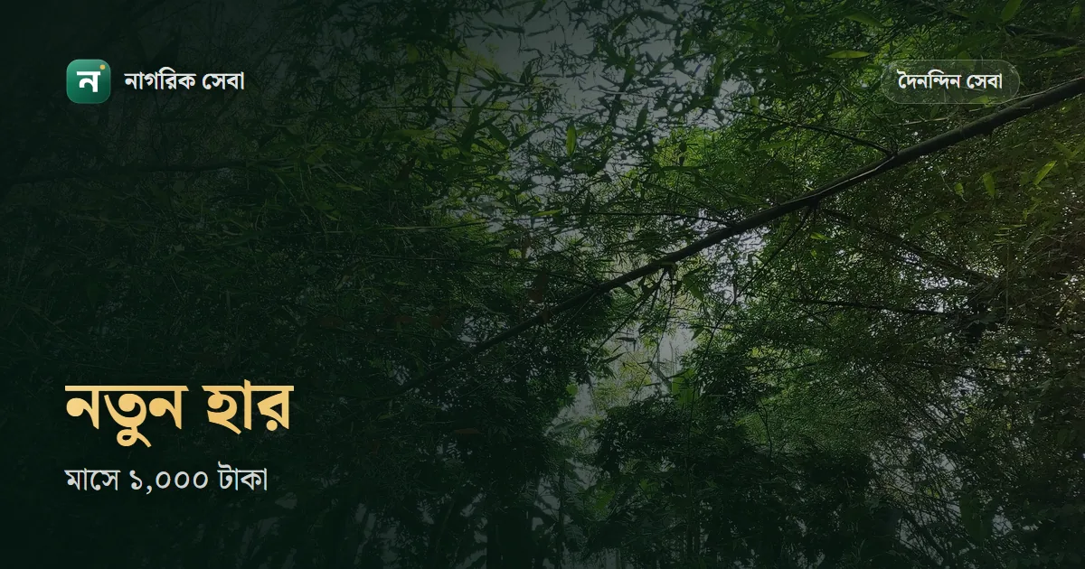 প্রতিবন্ধী ভাতা কত টাকা ২০২৬: মাসে ১,০০০ টাকা, আবেদনের শর্ত, উপবৃত্তি আর টাকা আসার পথ