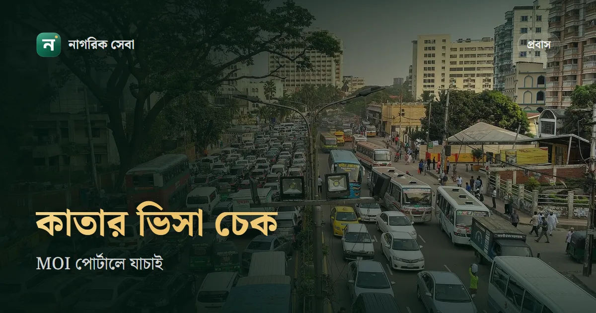 কাতার ভিসা চেক: MOI পোর্টালে ভিসা নম্বর দিয়ে যাচাই, আর কাতার ভিসা সেন্টারে কী হয়