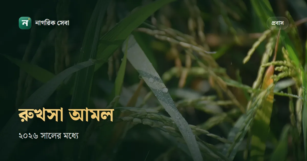 সৌদি ওয়ার্ক পারমিট ২০২৬: মেয়াদ পেরোনো রুখসা আমল ডিসেম্বরের মধ্যে নবায়নের সুযোগ, কারা পাবেন আর কী করবেন